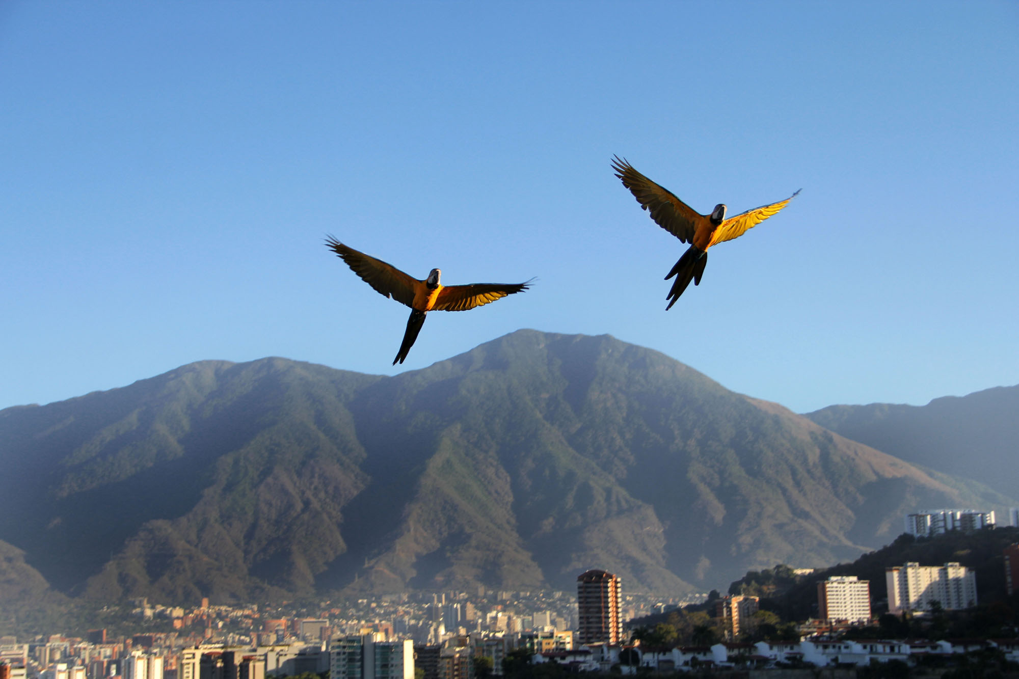 Click, Panoramic Americas is an interactive photography project, developed for Museum London (Canada), where the public has been invited to contribute with photos that might enrich the ideas of Canadian audiences about Latin America. 